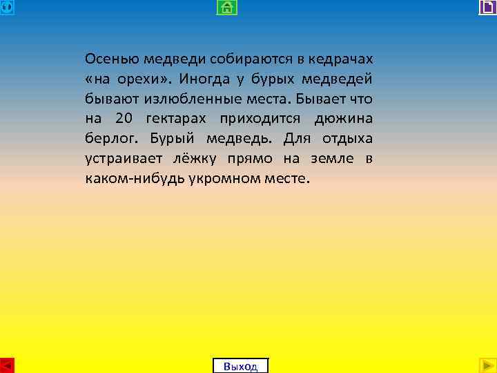 Осенью медведи собираются в кедрачах «на орехи» . Иногда у бурых медведей бывают излюбленные