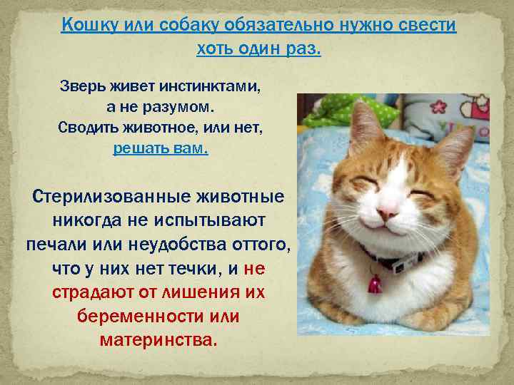 Кошку или собаку обязательно нужно свести хоть один раз. Зверь живет инстинктами, а не