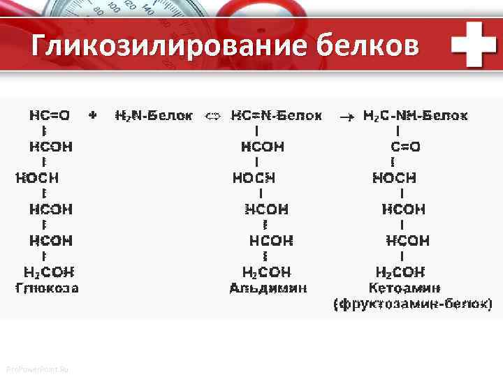 Гликозилирование белков Pro. Power. Point. Ru 