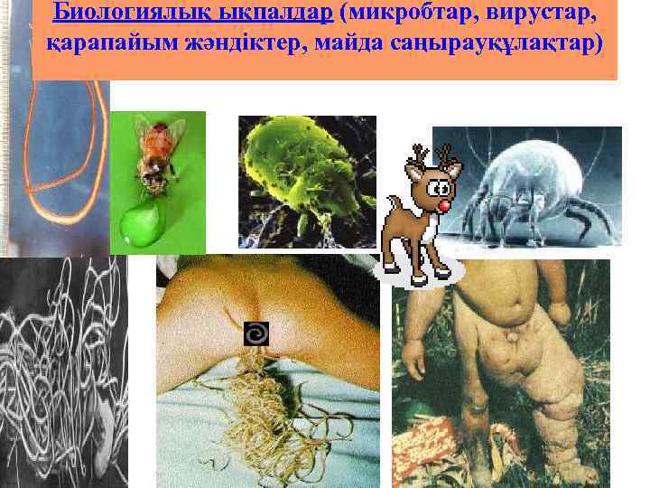 Биологиялық ықпалдар (микробтар, вирустар, қарапайым жәндіктер, майда саңырауқұлақтар) 