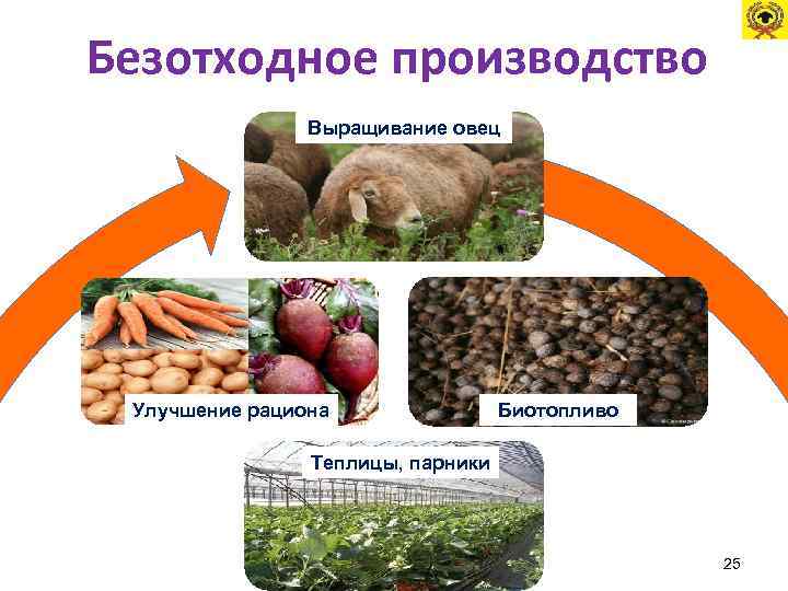 Безотходное производство Выращивание овец Улучшение рациона Биотопливо Теплицы, парники 25 