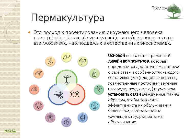 Пермакультура Приложение. Это подход к проектированию окружающего человека пространства, а также система ведения с/х,