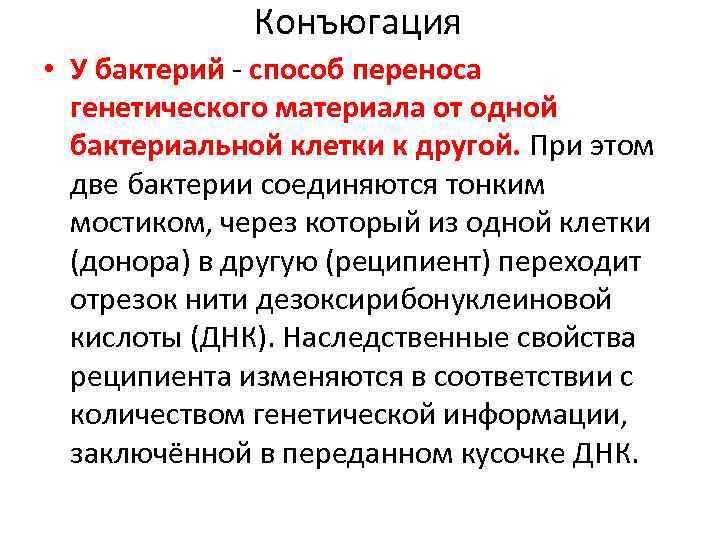 Конъюгация • У бактерий - способ переноса генетического материала от одной бактериальной клетки к