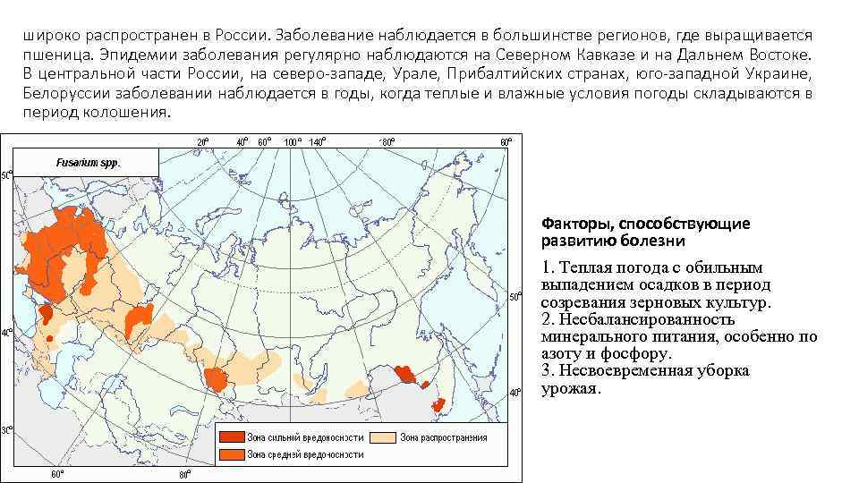 широко распространен в России. Заболевание наблюдается в большинстве регионов, где выращивается пшеница. Эпидемии заболевания