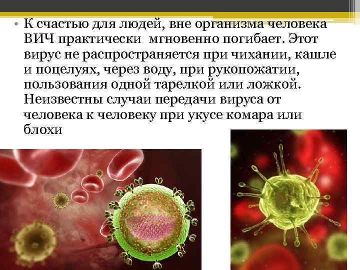  • К счастью для людей, вне организма человека ВИЧ практически мгновенно погибает. Этот