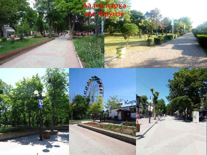 Аллеи парка им. Фрунзе 