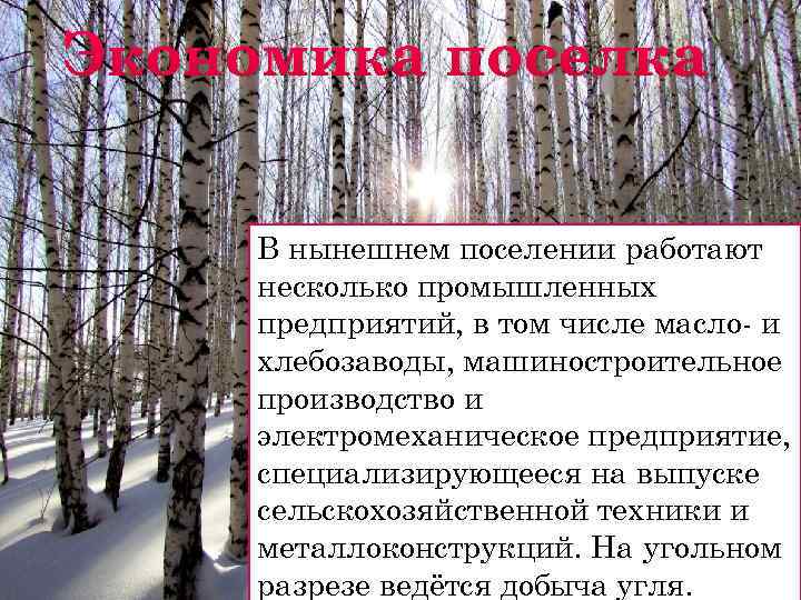 Экономика поселка В нынешнем поселении работают несколько промышленных предприятий, в том числе масло- и