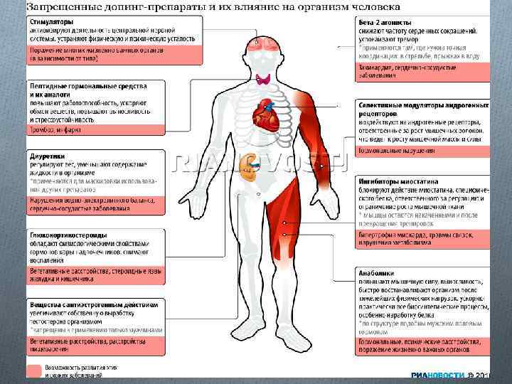 Проект по теме спорт и допинг 11 класс