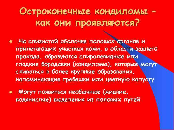 Остроконечные кондиломы – как они проявляются? l l На слизистой оболочке половых органов и