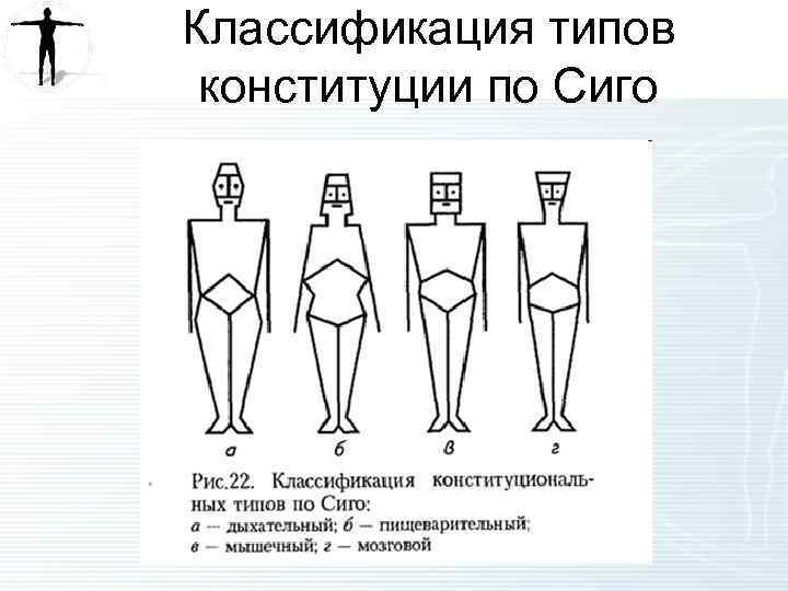 Схемы конституциональной диагностики и б галанта