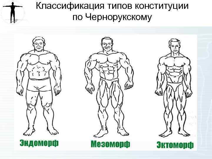 Классификация типов конституции по Чернорукскому 