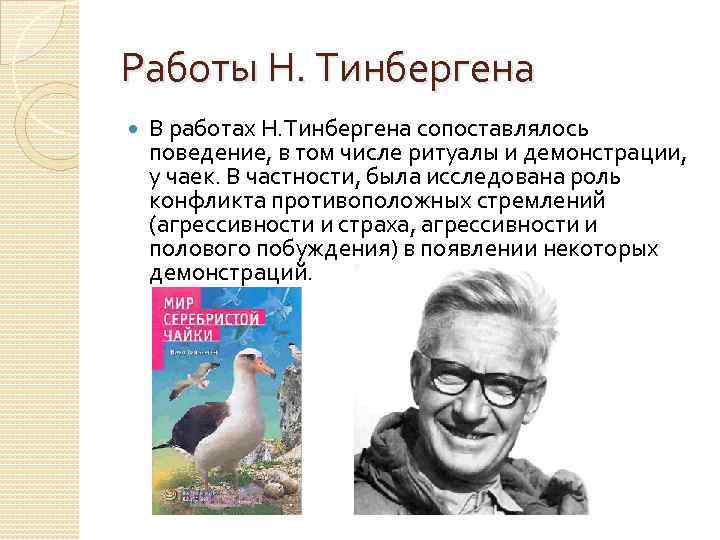 Работы Н. Тинбергена В работах Н. Тинбергена сопоставлялось поведение, в том числе ритуалы и