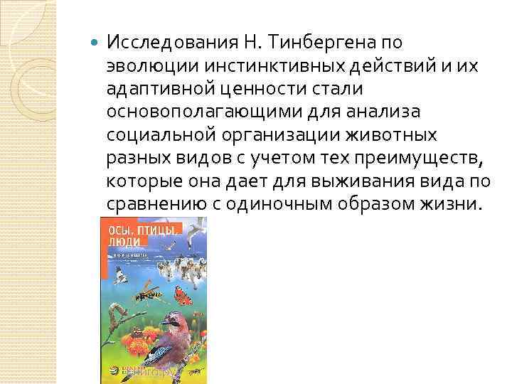  Исследования Н. Тинбергена по эволюции инстинктивных действий и их адаптивной ценности стали основополагающими