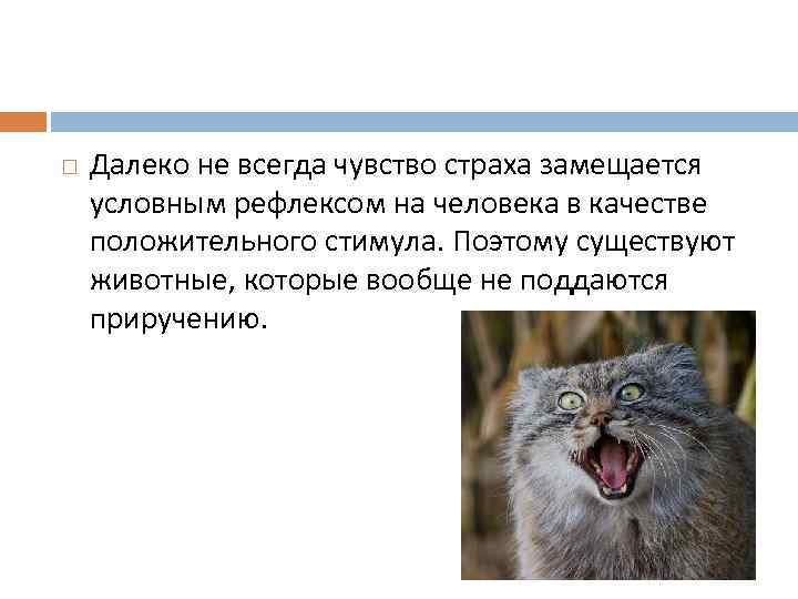  Далеко не всегда чувство страха замещается условным рефлексом на человека в качестве положительного