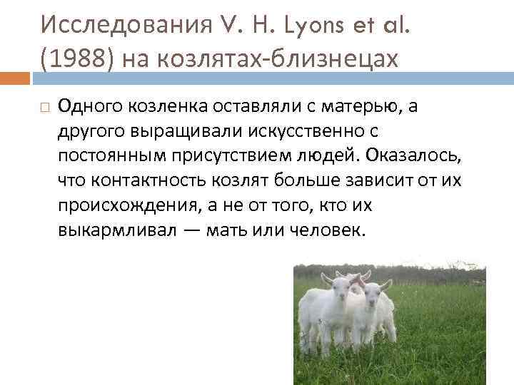 Исследования V. Н. Lyons et al. (1988) на козлятах-близнецах Одного козленка оставляли с матерью,