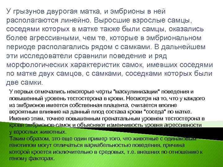 У грызунов двурогая матка, и эмбрионы в ней располагаются линейно. Выросшие взрослые самцы, соседями