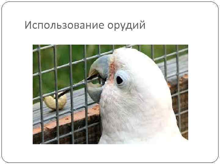 Использование орудий 