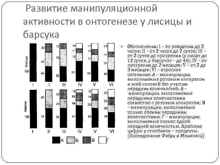  Развитие манипуляционной активности в онтогенезе у лисицы и барсука Обозначения: I – от