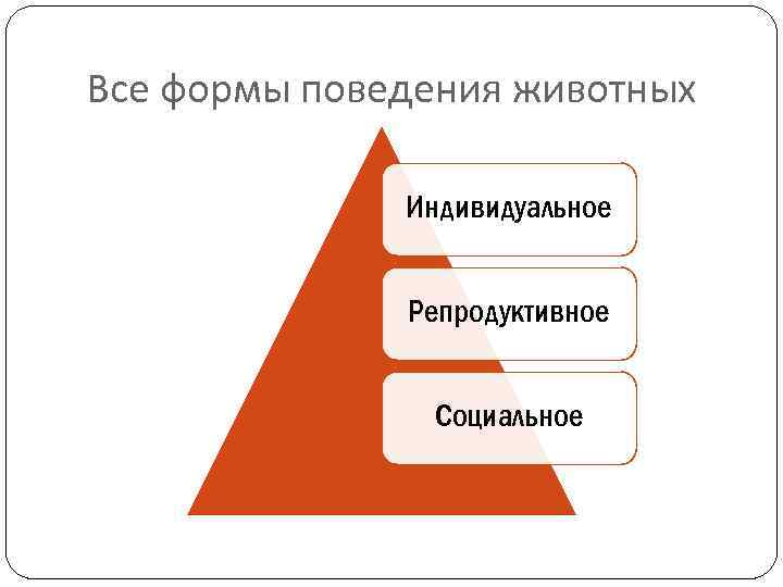 Все формы поведения животных Индивидуальное Репродуктивное Социальное 