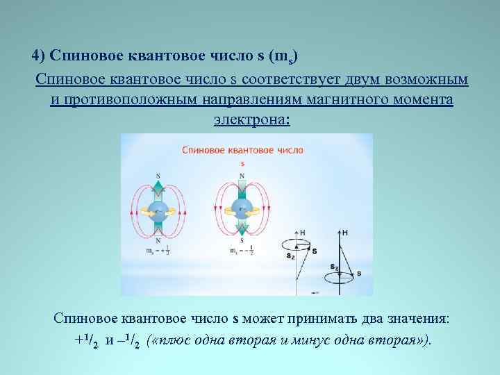 4) Спиновое квантовое число s (ms) Спиновое квантовое число s соответствует двум возможным и