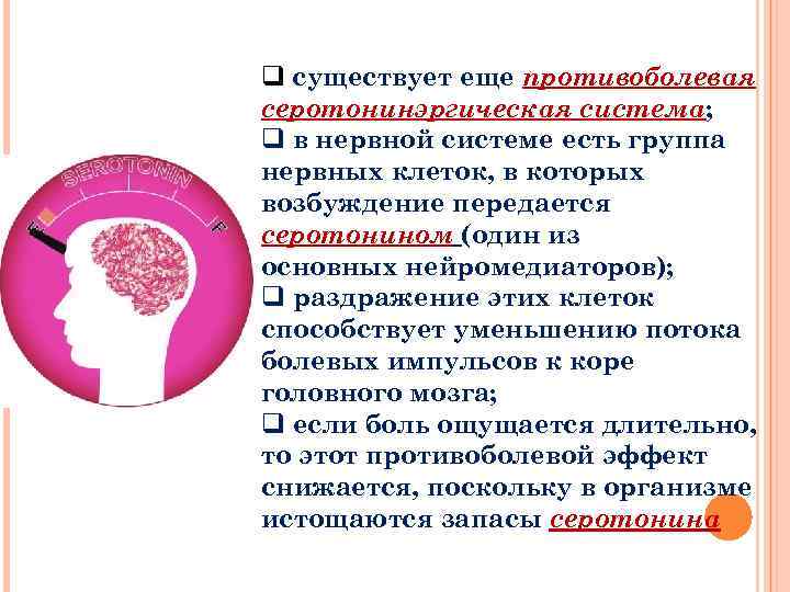 q существует еще противоболевая серотонинэргическая система; q в нервной системе есть группа нервных клеток,