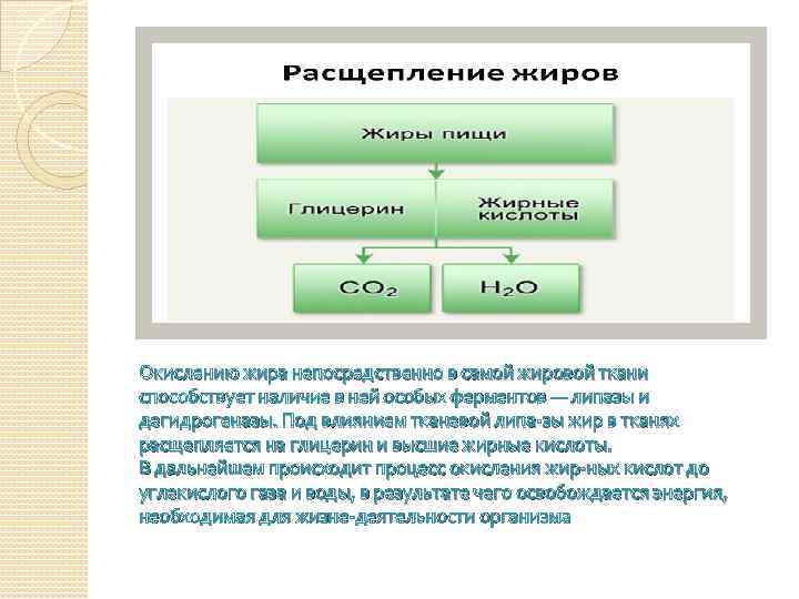 Методики определения жиров