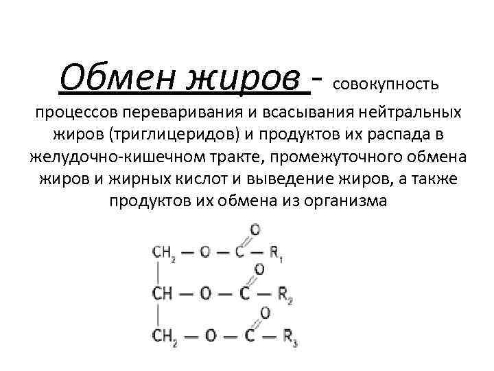 Обмен жиров. Конечные продукты метаболизма жиров. Обмен жиров функции жиров суточная норма. Обмен нейтральных жиров. Особенности расщепления жиров.