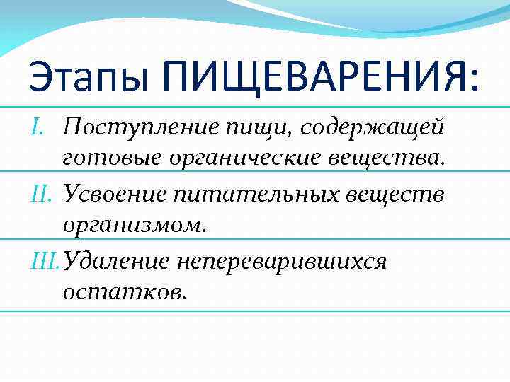 Схема пищеварения этапы