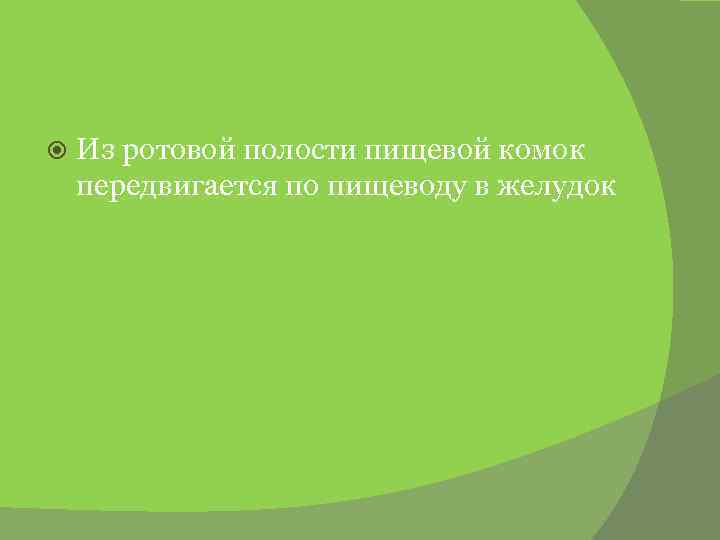  Из ротовой полости пищевой комок передвигается по пищеводу в желудок 