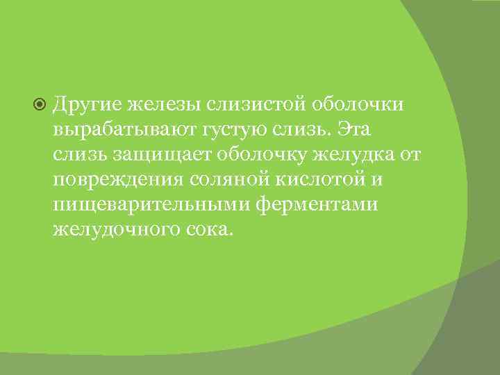  Другие железы слизистой оболочки вырабатывают густую слизь. Эта слизь защищает оболочку желудка от