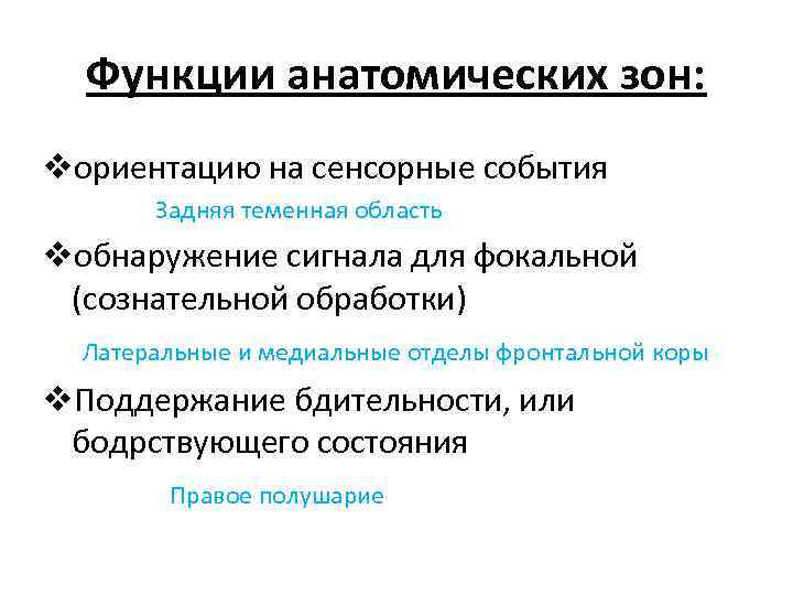 Функции анатомических зон: vориентацию на сенсорные события Задняя теменная область vобнаружение сигнала для фокальной