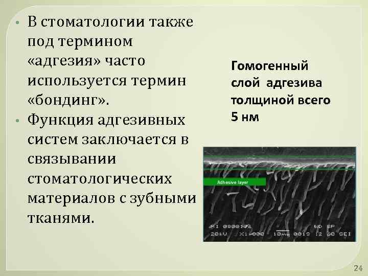  • • В стоматологии также под термином «адгезия» часто используется термин «бондинг» .