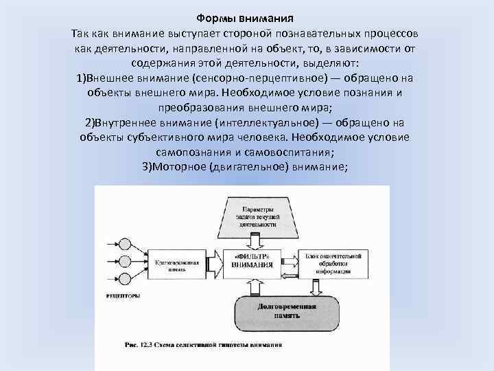 Формы внимания Так как внимание выступает стороной познавательных процессов как деятельности, направленной на объект,