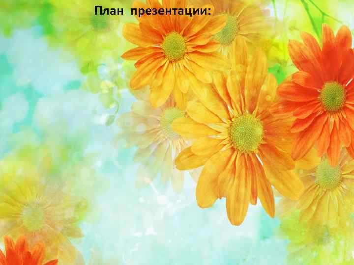 План презентации: 