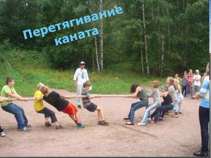 ие канат ан ив тяг а ре ат Пе кан www. themegallery. com Company