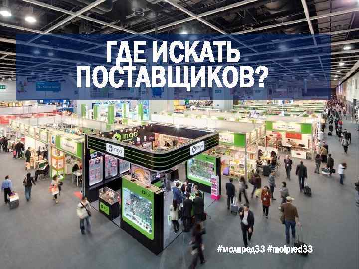 ГДЕ ИСКАТЬ ПОСТАВЩИКОВ? #молпред 33 #molpred 33 