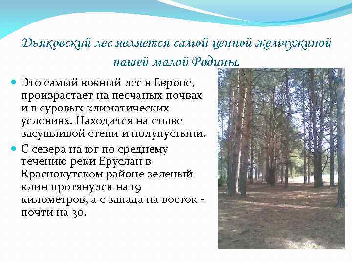 Дьяковский лес является самой ценной жемчужиной нашей малой Родины. Это самый южный лес в
