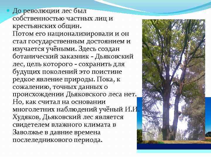  До революции лес был собственностью частных лиц и крестьянских общин. Потом его национализировали