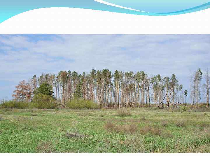 В апреле 2008 г. в результате пожара, произошедшего по причине неосторожного обращения с огнем,