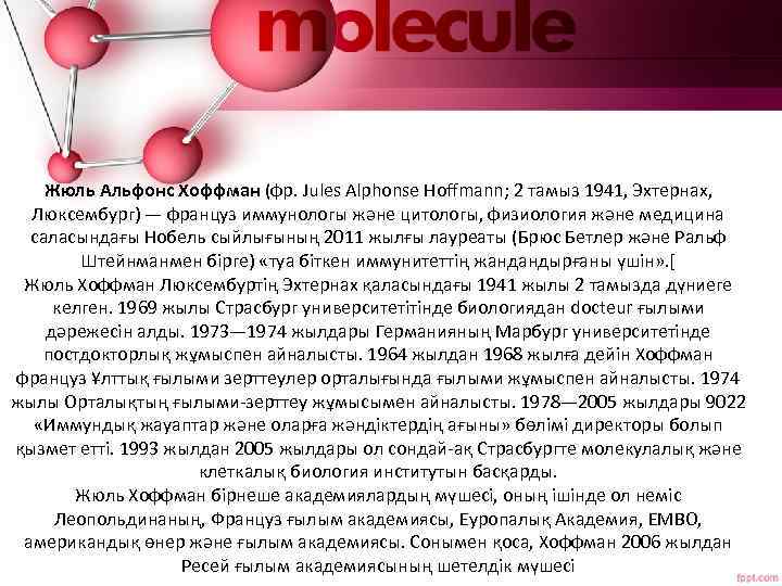 Жюль Альфонс Хоффман (фр. Jules Alphonse Hoffmann; 2 тамыз 1941, Эхтернах, Люксембург) — француз