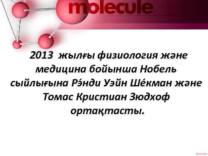 2013 жылғы физиология және медицина бойынша Нобель сыйлығына Рэ нди Уэйн Ше кман және