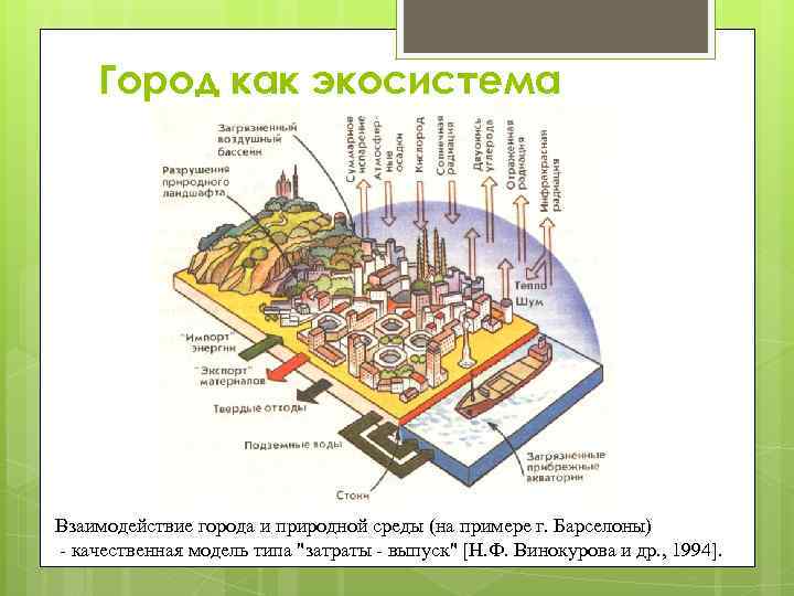 Городская экосистема презентация