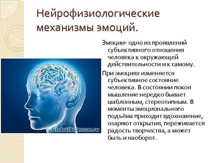 Нейрофизиологические механизмы эмоций. Эмоции- одно из проявлений субъективного отношения человека к окружающей действительности и