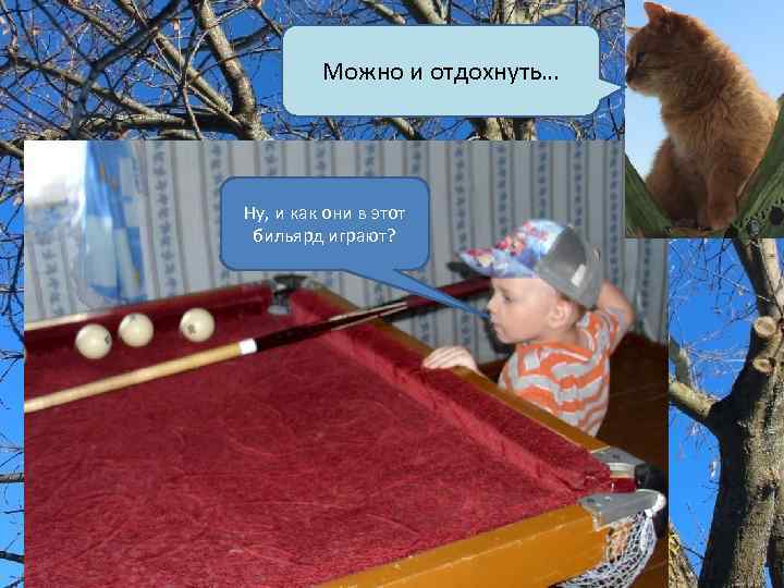 Можно и отдохнуть… Ну, и как они в этот бильярд играют? 