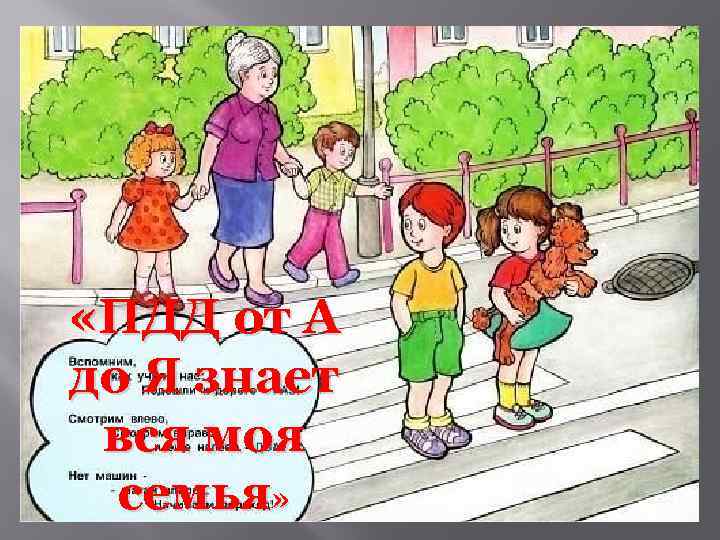  «ПДД от А до Я знает вся моя семья» 