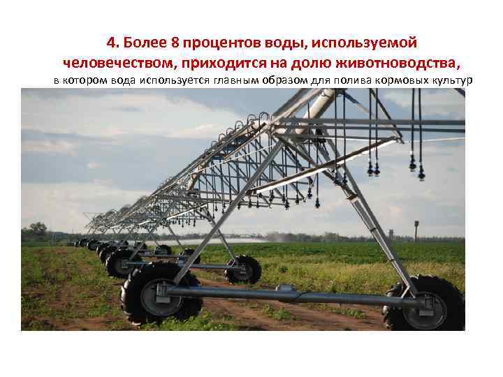 4. Более 8 процентов воды, используемой человечеством, приходится на долю животноводства, в котором вода