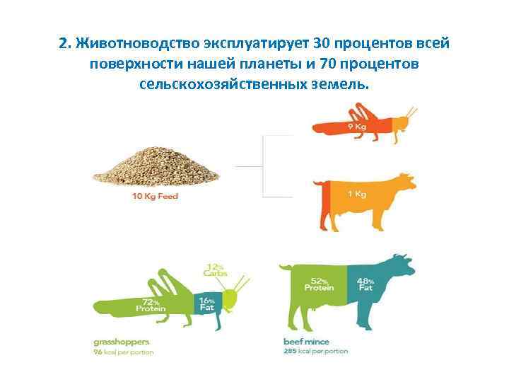 Влияние сельского хозяйства на природу схема