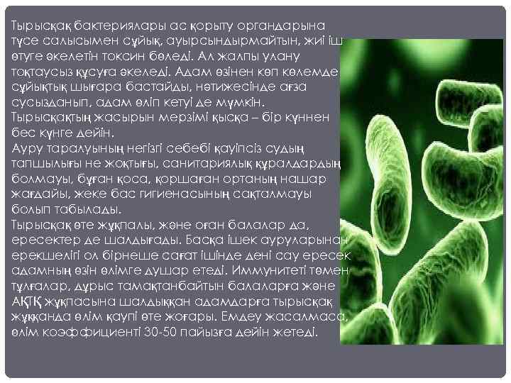 Тырысқақ бактериялары ас қорыту органдарына түсе салысымен сұйық, ауырсындырмайтын, жиі іш өтуге әкелетін токсин