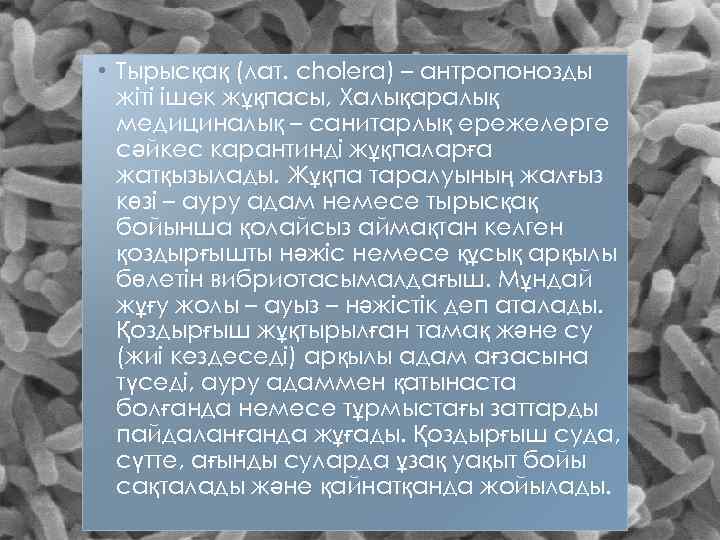  • Тырысқақ (лат. cholera) – антропонозды жіті ішек жұқпасы, Халықаралық медициналық – санитарлық