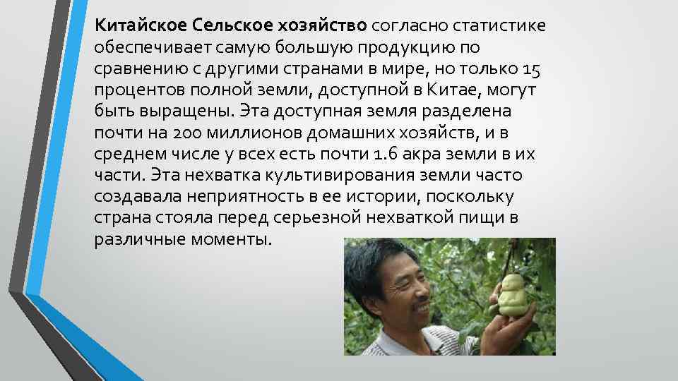 Китайское Сельское хозяйство согласно статистике обеспечивает самую большую продукцию по сравнению с другими странами